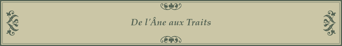 De l'Âne aux Traits